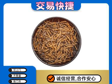 石家庄市深泽高价回收散虫草